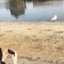 家